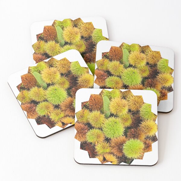 Item preview, Autumn Spiky Chestnut Burrs – Rustic Fall Nature Texture designed and sold by Dryft7.