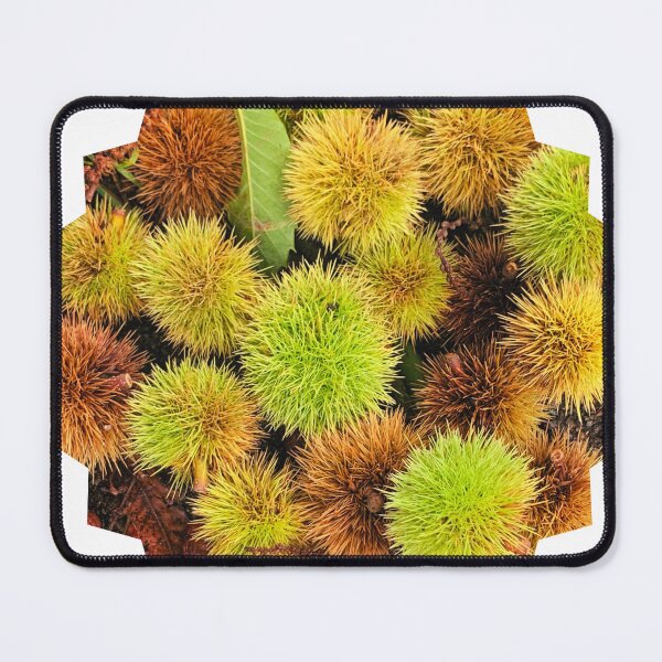 Item preview, Autumn Spiky Chestnut Burrs – Rustic Fall Nature Texture designed and sold by Dryft7.