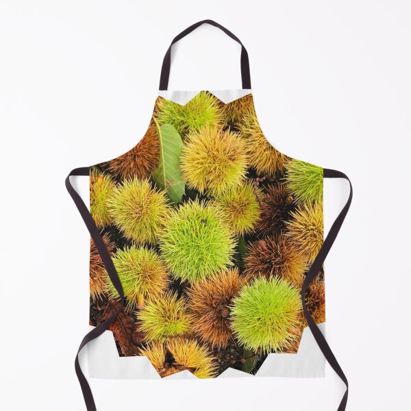 Item preview, Autumn Spiky Chestnut Burrs – Rustic Fall Nature Texture designed and sold by Dryft7.