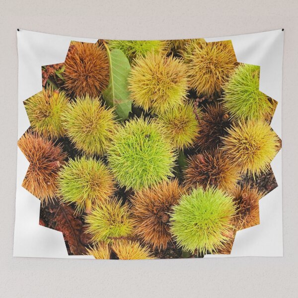Item preview, Autumn Spiky Chestnut Burrs – Rustic Fall Nature Texture designed and sold by Dryft7.