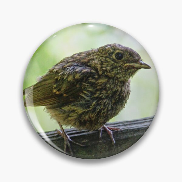 Item preview, Young robin on a fence designed and sold by ChimaHome.
