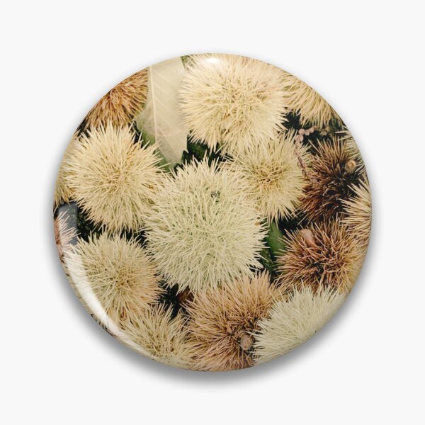 Item preview, Autumn Spiky Chestnut Burrs – Rustic Fall Nature Texture designed and sold by Dryft7.