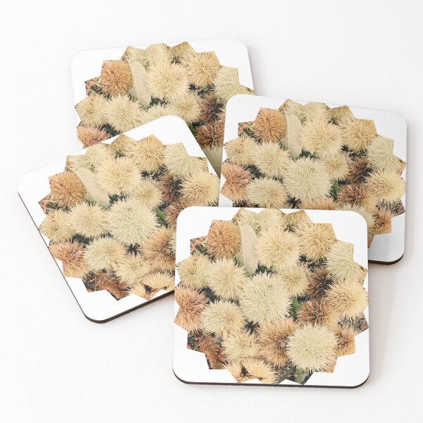 Item preview, Autumn Spiky Chestnut Burrs – Rustic Fall Nature Texture designed and sold by Dryft7.
