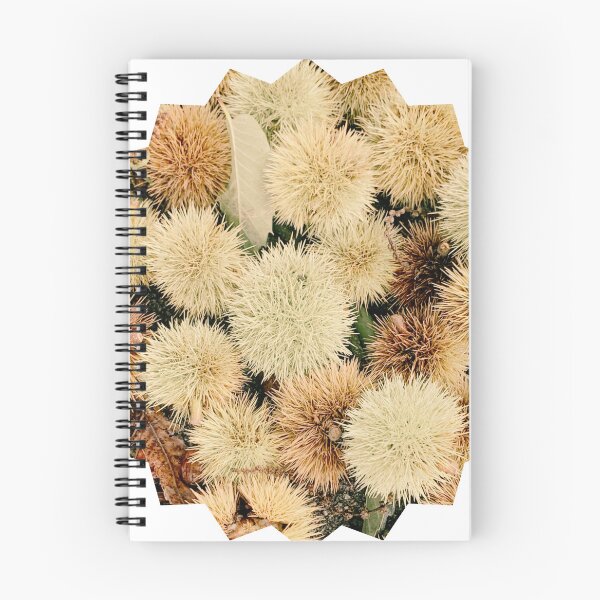 Item preview, Autumn Spiky Chestnut Burrs – Rustic Fall Nature Texture designed and sold by Dryft7.