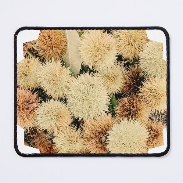 Item preview, Autumn Spiky Chestnut Burrs – Rustic Fall Nature Texture designed and sold by Dryft7.