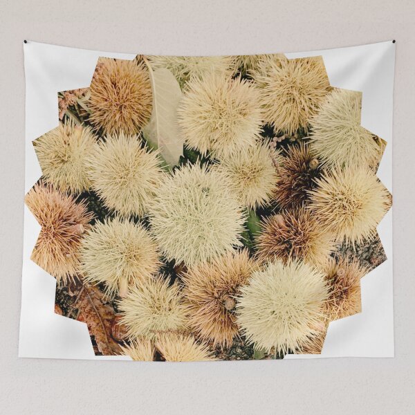 Item preview, Autumn Spiky Chestnut Burrs – Rustic Fall Nature Texture designed and sold by Dryft7.