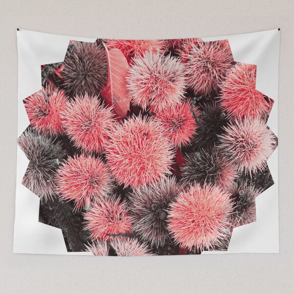 Item preview, Autumn Spiky Chestnut Burrs – Rustic Fall Nature Texture designed and sold by Dryft7.
