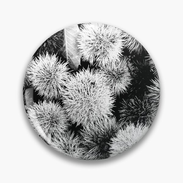 Item preview, Autumn Spiky Chestnut Burrs – Rustic Fall Nature Texture designed and sold by Dryft7.