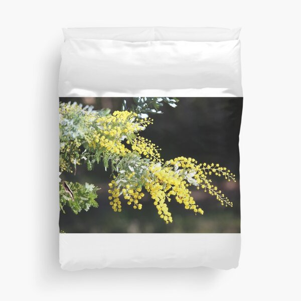 Item preview, Cootamundra Wattle in flower designed and sold by NanaRusty.