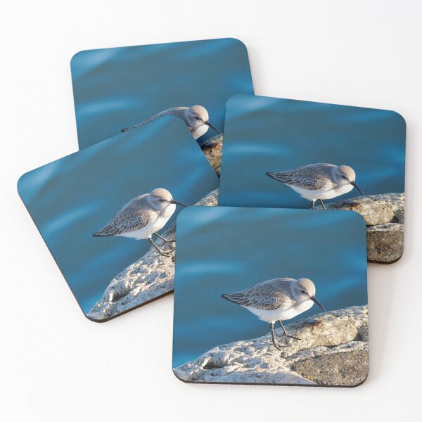 Item preview, Dunlin in Winter Plumage Dorset England designed and sold by Dorset Girl.