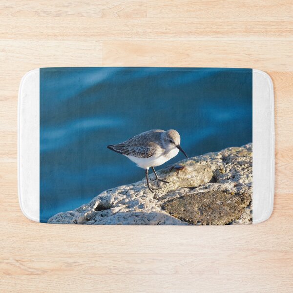 Item preview, Dunlin in Winter Plumage Dorset England designed and sold by Dorset Girl.