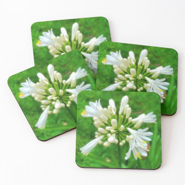 Item preview, White agapanthus designed and sold by missmoneypenny.