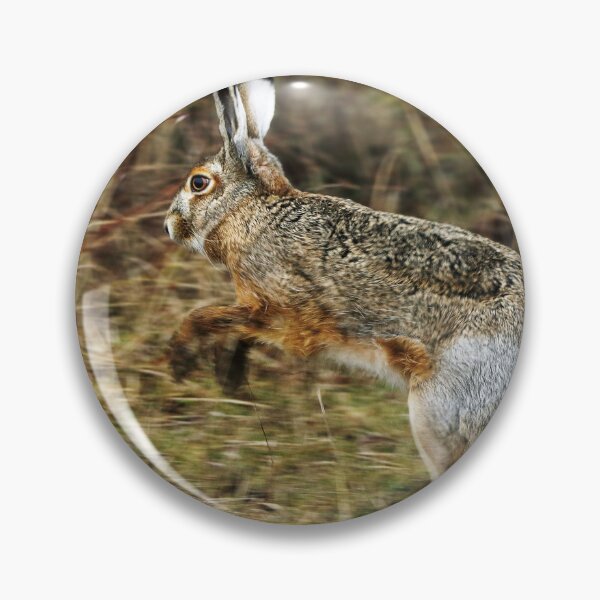 Item preview, Leaping hare in golden light designed and sold by T. Kaiser.