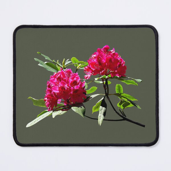 Item preview, Two Dark Red Rhododendrons designed and sold by Susan Savad.