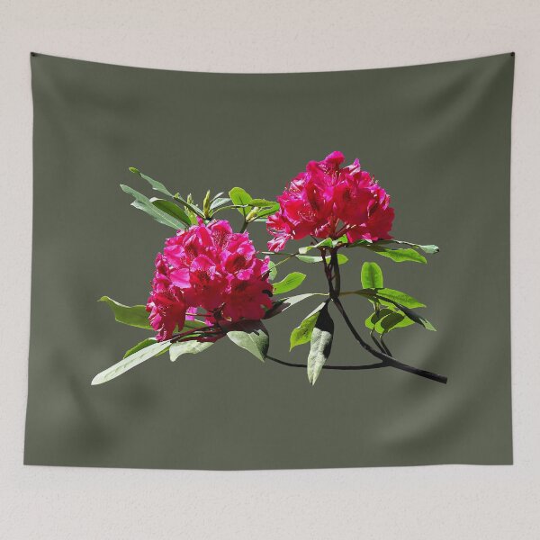 Aperçu de l'œuvre Deux rhododendrons rouge foncé créée et vendue par Susan Savad.