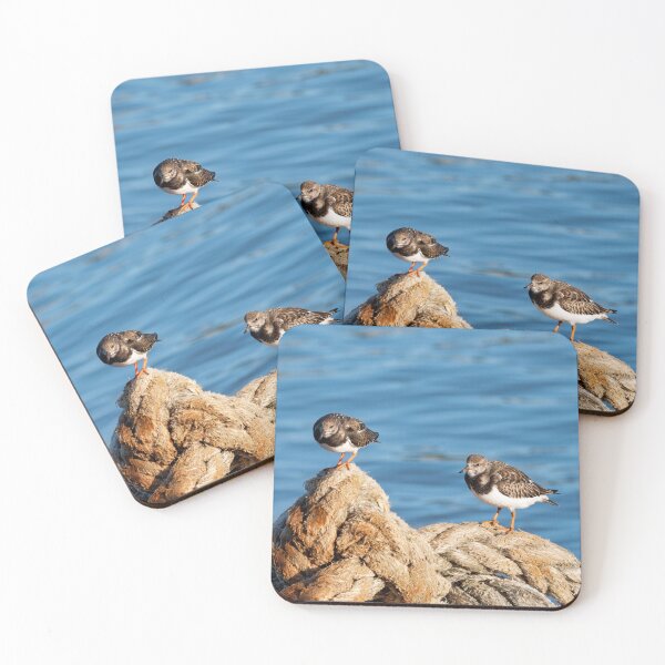 Item preview, Turnstones at Lyme Regis Harbour Dorset England designed and sold by Dorset Girl.
