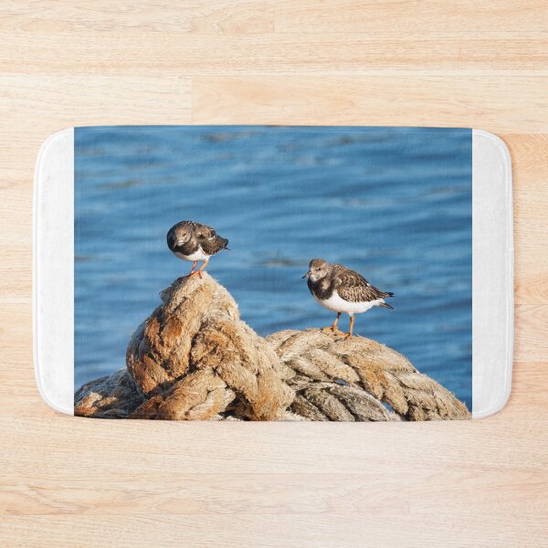 Item preview, Turnstones at Lyme Regis Harbour Dorset England designed and sold by Dorset Girl.