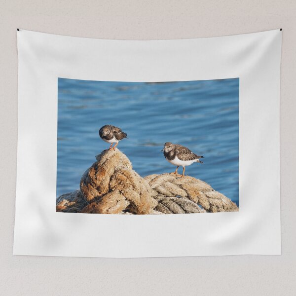Item preview, Turnstones at Lyme Regis Harbour Dorset England designed and sold by Dorset Girl.