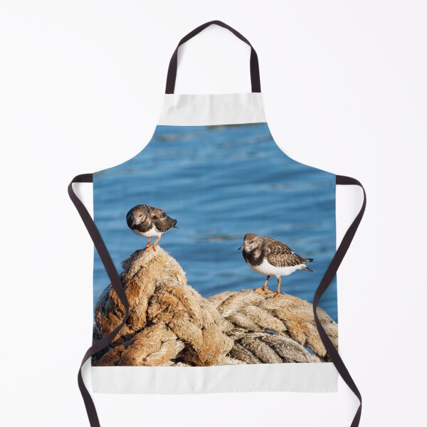 Item preview, Turnstones at Lyme Regis Harbour Dorset England designed and sold by Dorset Girl.