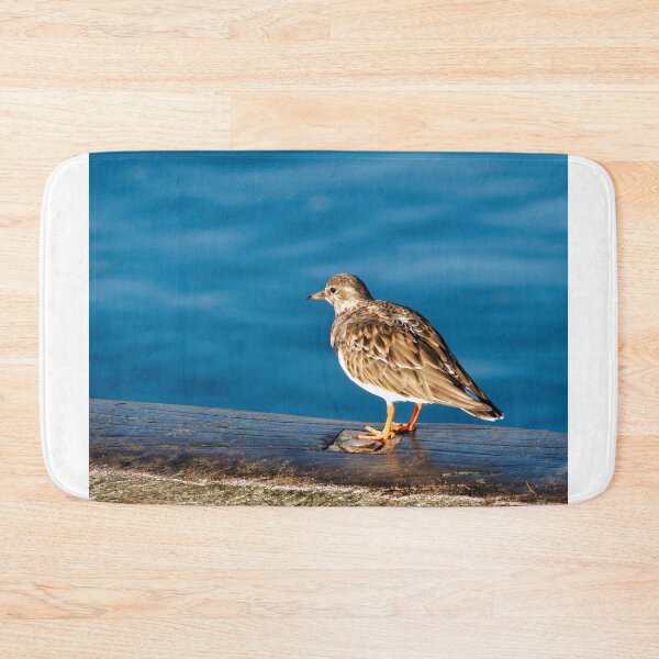 Item preview, Turnstones at Lyme Regis Harbour Dorset England designed and sold by Dorset Girl.