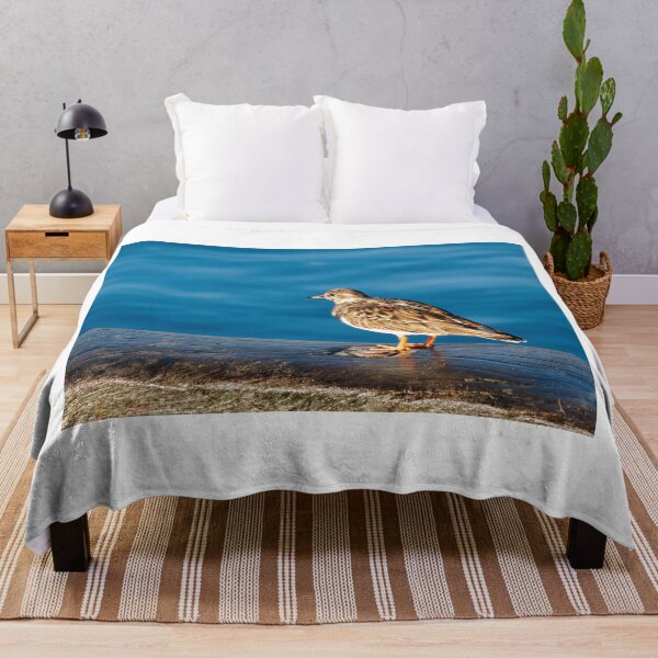 Item preview, Turnstones at Lyme Regis Harbour Dorset England designed and sold by Dorset Girl.