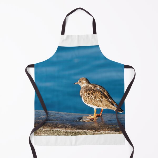 Item preview, Turnstones at Lyme Regis Harbour Dorset England designed and sold by Dorset Girl.
