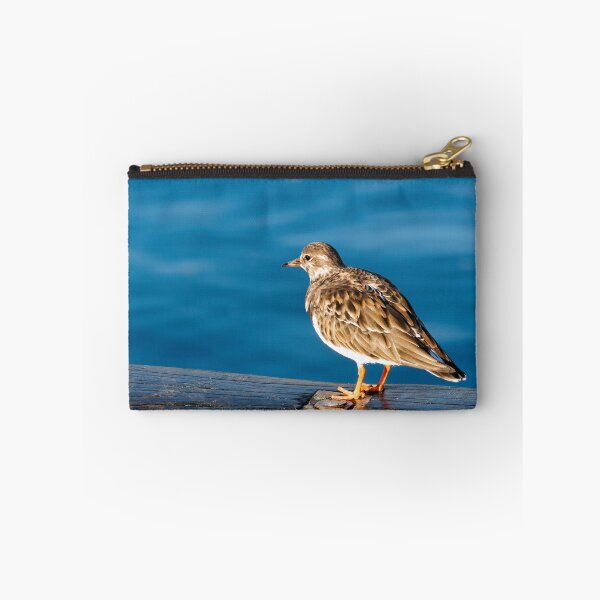 Item preview, Turnstones at Lyme Regis Harbour Dorset England designed and sold by Dorset Girl.