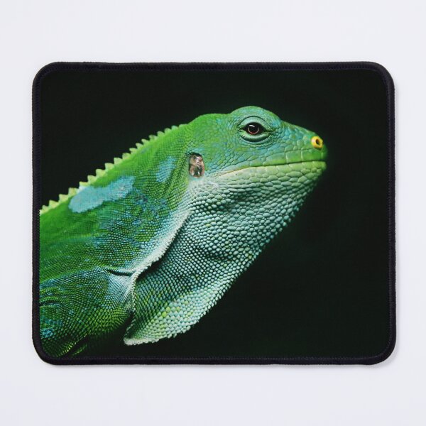Item preview, Emerald Iguana in profile designed and sold by T. Kaiser.
