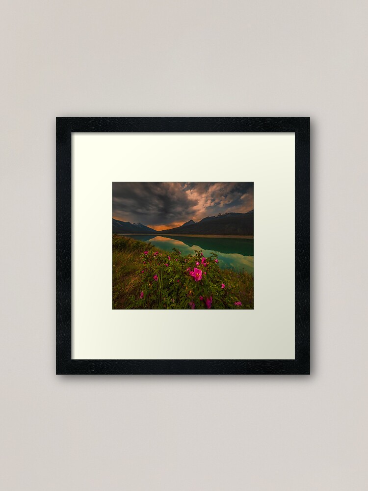 Alternate view of Medicine Lake - Canada Framed Art Print