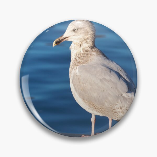 Item preview, Herring Gull against Calm Blue Harbour Waters designed and sold by Dorset Girl.