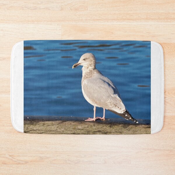 Item preview, Herring Gull against Calm Blue Harbour Waters designed and sold by Dorset Girl.