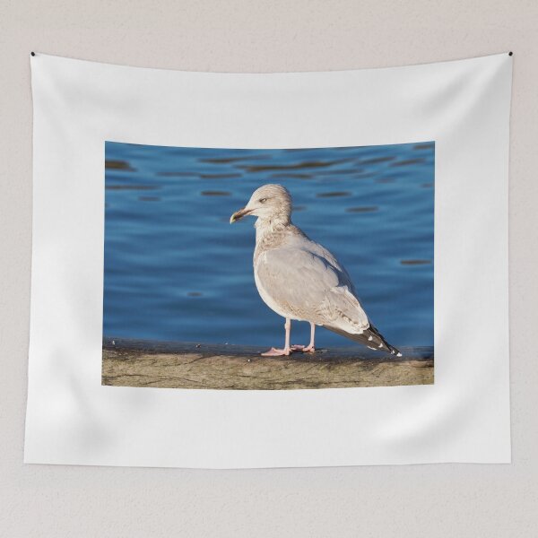Item preview, Herring Gull against Calm Blue Harbour Waters designed and sold by Dorset Girl.