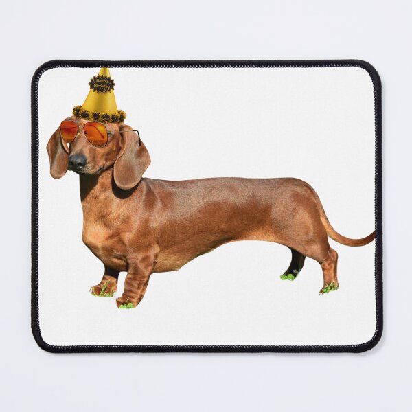 Item preview, Bassotto Party Cool designed and sold by chamaleox9.
