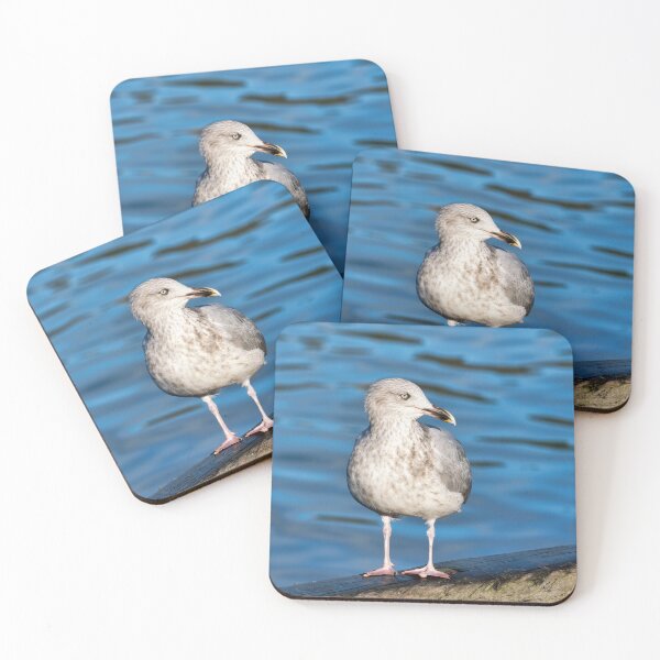 Item preview, Herring Gull against Calm Blue Harbour Waters designed and sold by Dorset Girl.