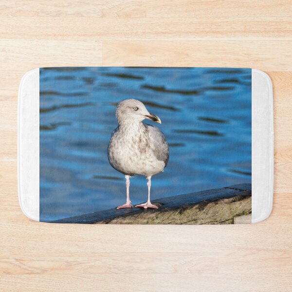 Item preview, Herring Gull against Calm Blue Harbour Waters designed and sold by Dorset Girl.