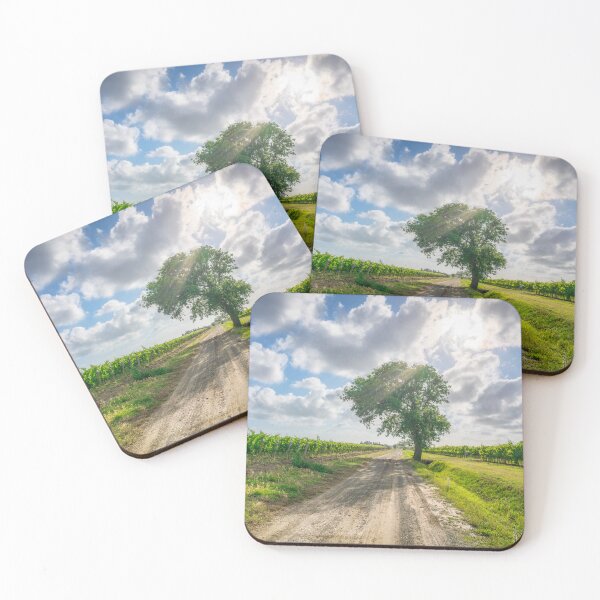 Item preview, Solitary Oak Tree Stands Guard Over Bolgheri's Super Tuscan Vineyards designed and sold by Stefano Orazzini.
