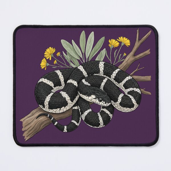 Item preview, California Kingsnake with Desert Flowers designed and sold by BirdsnStuff.