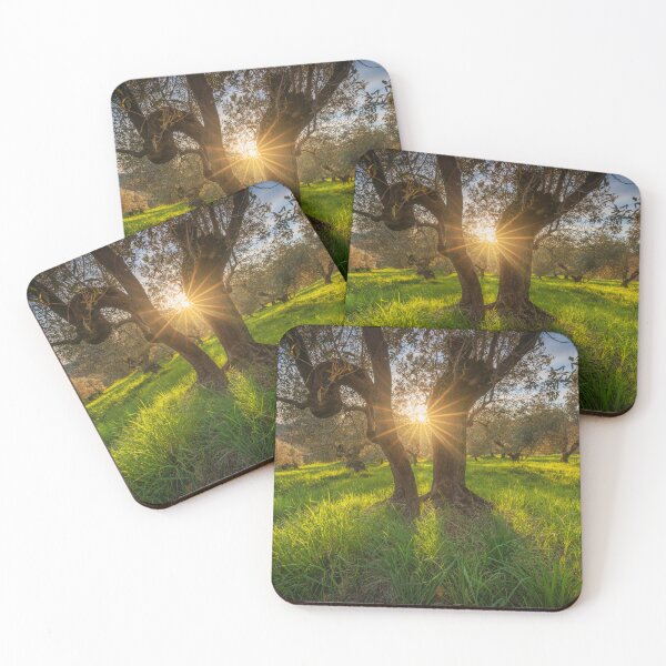 Item preview, Sunset Light in an Ancient Olive Grove of Maremma, Tuscany designed and sold by Stefano Orazzini.