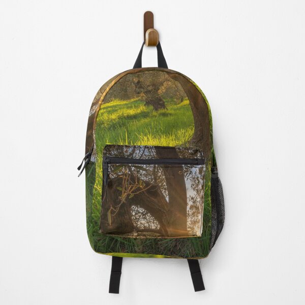 Item preview, Sunset Light in an Ancient Olive Grove of Maremma, Tuscany designed and sold by Stefano Orazzini.