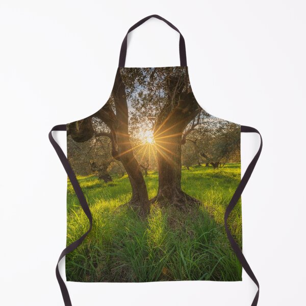 Item preview, Sunset Light in an Ancient Olive Grove of Maremma, Tuscany designed and sold by Stefano Orazzini.