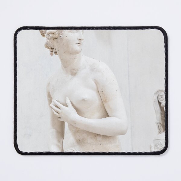 Item preview, Venus statue by sculptor Antonia Canova, 1820, plaster designed and sold by Paolo Modena Photography    -   Fine Italian Art.