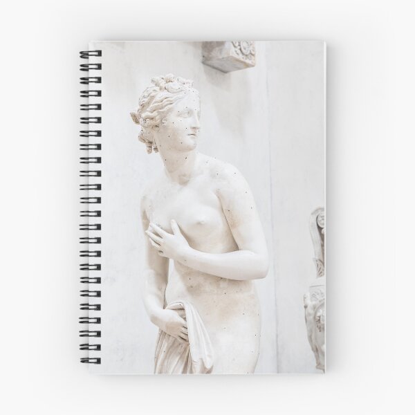 Item preview, Venus statue by sculptor Antonia Canova, 1820, plaster designed and sold by Paolo Modena Photography    -   Fine Italian Art.