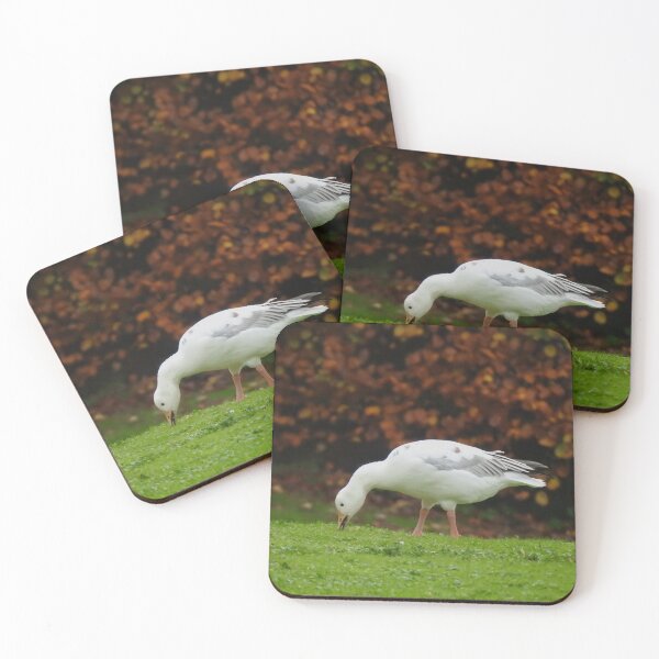Item preview, Snow Goose against russet leaves designed and sold by TwistedClassics.