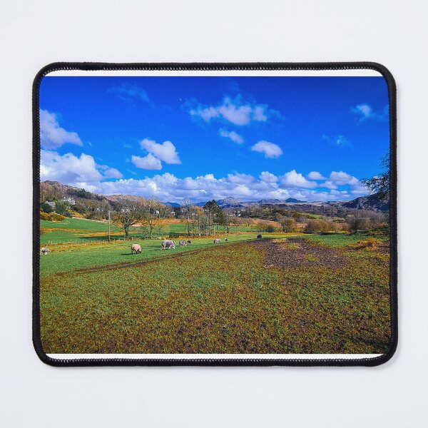 Item preview, Sheep Roaming the fields in Eskdale designed and sold by KimsPhotoGifts.