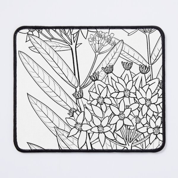 Item preview, Milkweed - Native Plants Coloring designed and sold by NativePlantsColoringBooks.com.