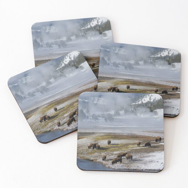 Item preview, Buffalo Graze in Yellowstone National Park (Landscape Photography Print) designed and sold by Explore The Wilds.