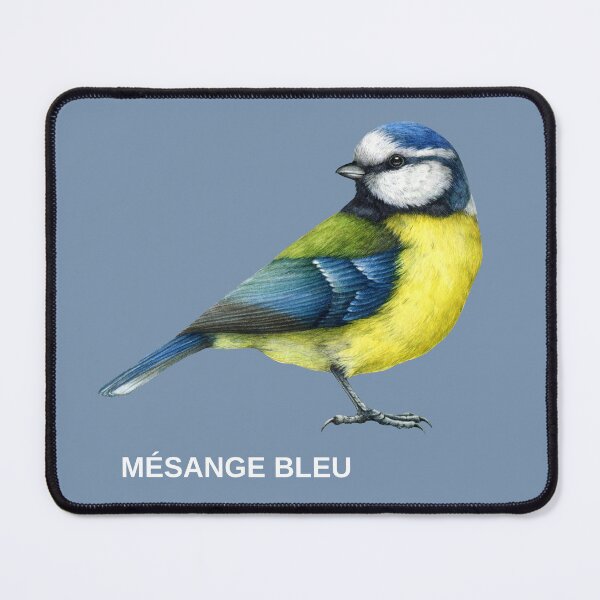 Item preview, Mésange Bleue (Blue Tit) – Ornithological Graphic designed and sold by The Balanced Bonne Vivante.