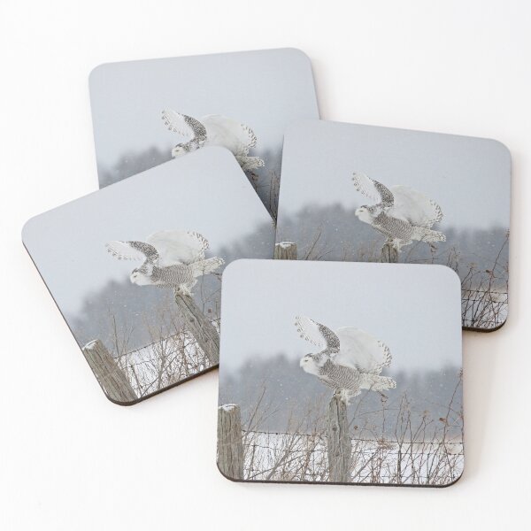 Item preview, Perfect landing designed and sold by locustgirl.