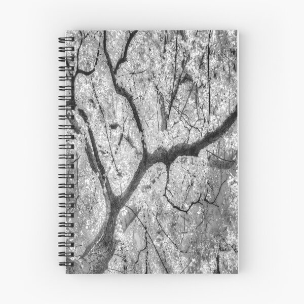 Item preview, Autumn Tree Canopy Infrared  designed and sold by Londonimages.