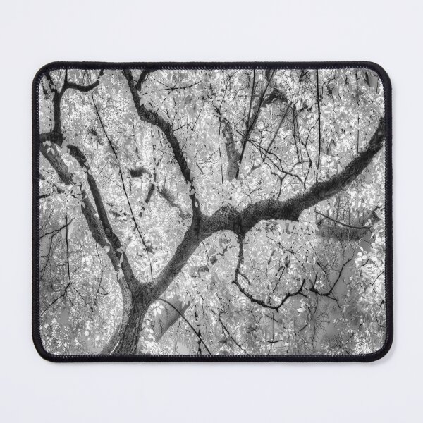 Item preview, Autumn Tree Canopy Infrared  designed and sold by Londonimages.